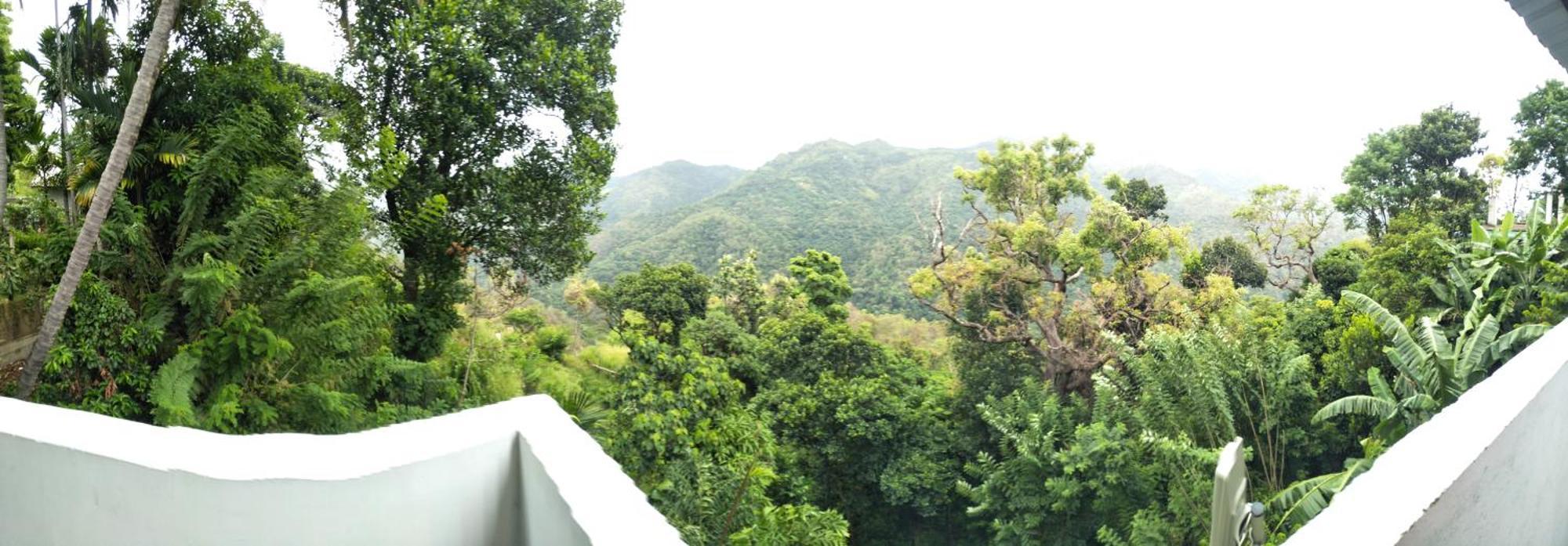 Green Cage Hotel & Restaurant Ella Ngoại thất bức ảnh