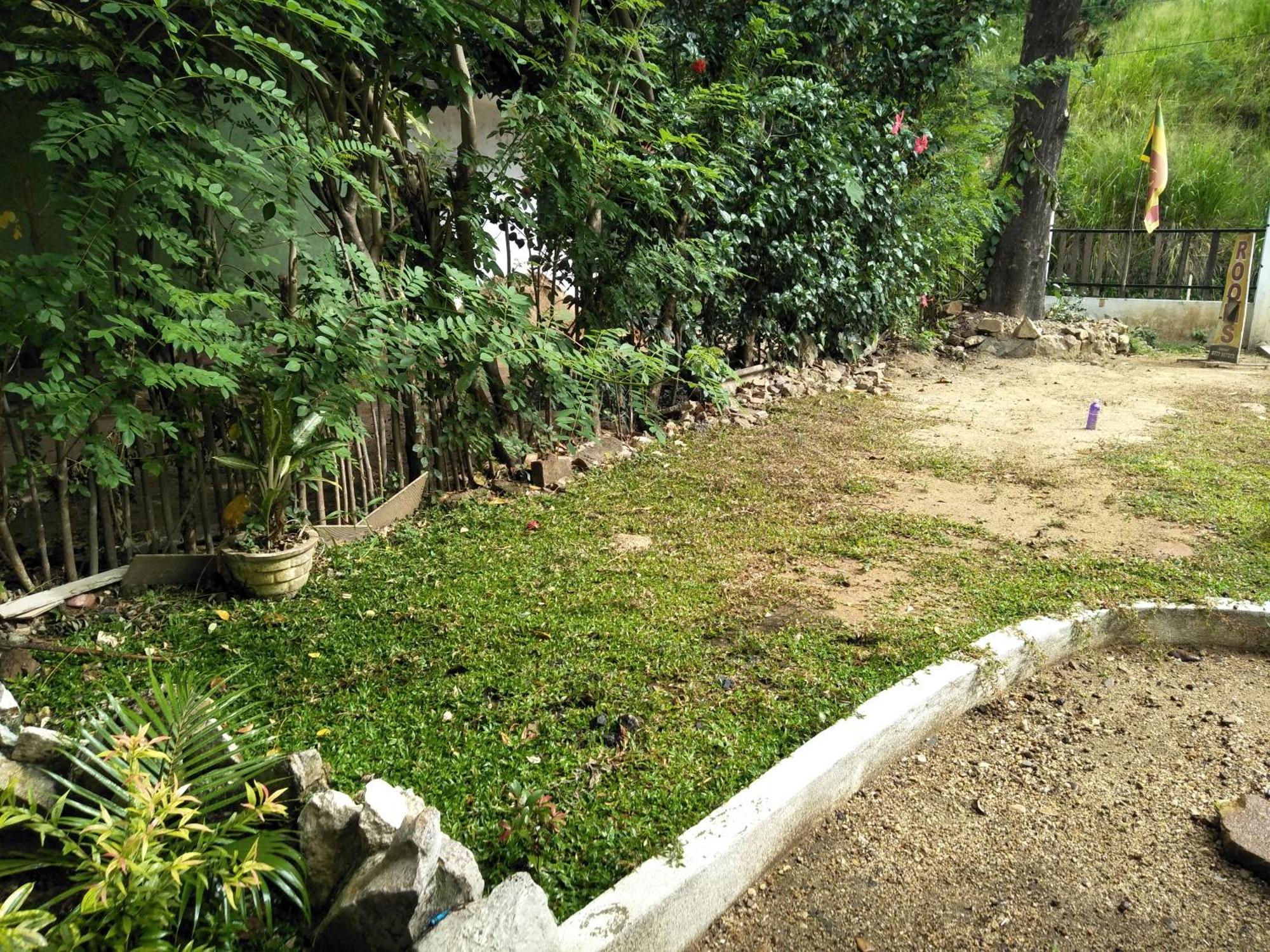 Green Cage Hotel & Restaurant Ella Ngoại thất bức ảnh
